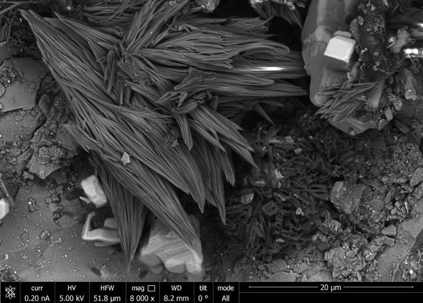 Needle crystals under the electron microscope